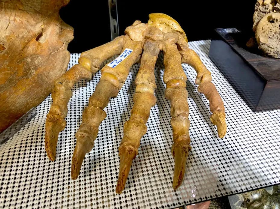 Consignment Services